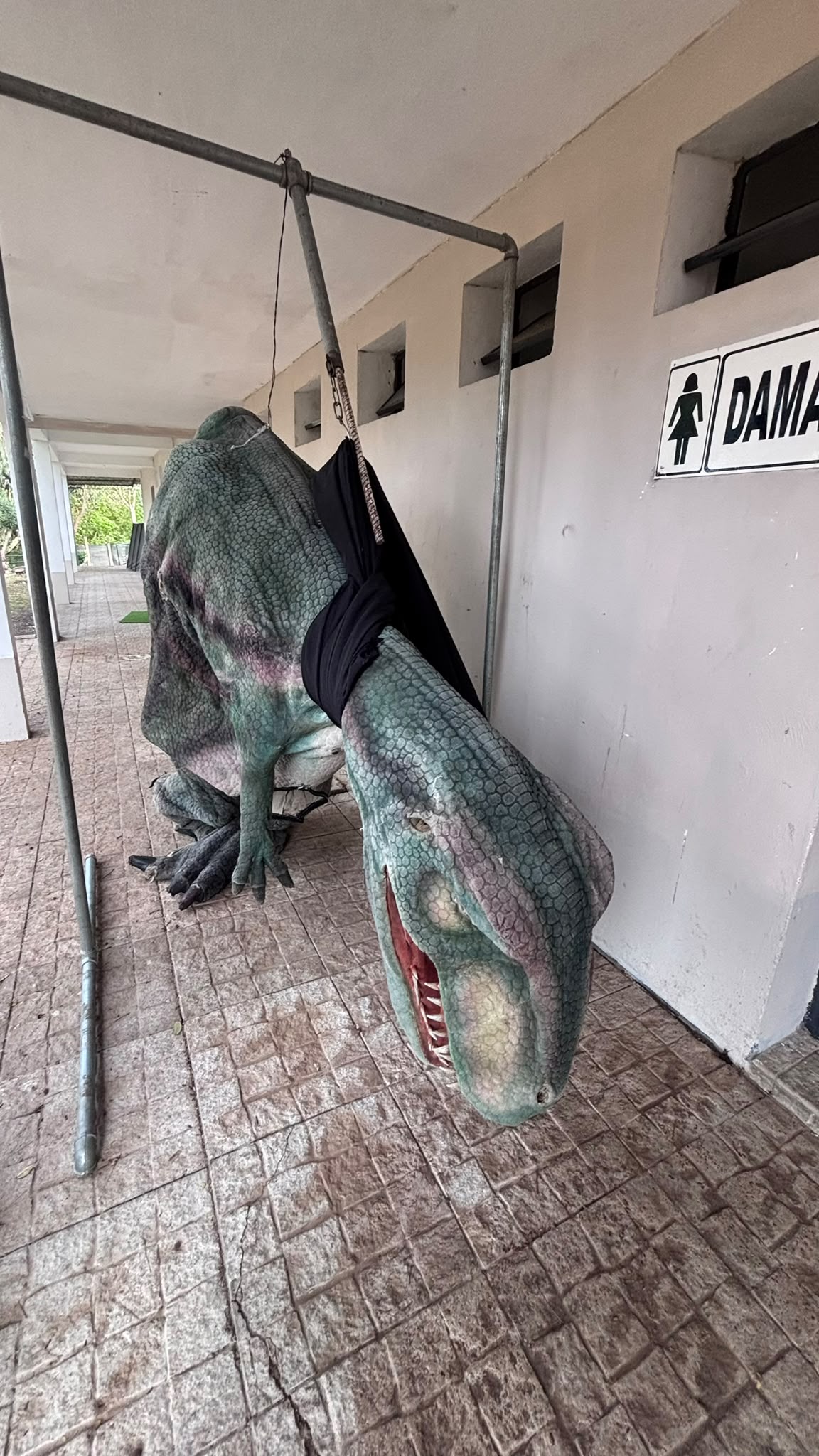 El dinosaurio fue recuperado y entregado a sus responsables. El dinosaurio fue recuperado y entregado a sus responsables.
