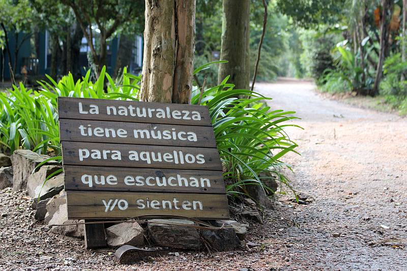 Fin de semana de música en vivo en el Arboretum Lussich 27 de Octubre, 2026